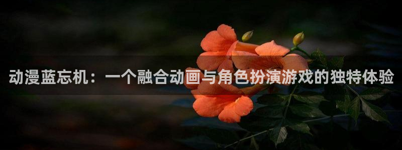 91动漫下载网站