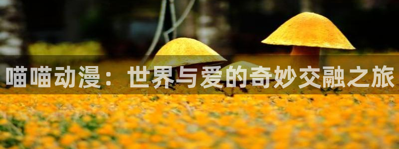 91动漫片子：喵喵动漫：世界与爱的奇妙交融之旅